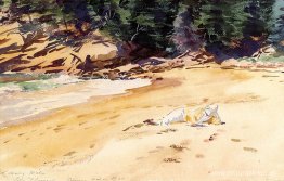 Playa de arena, Schooner Head, Maine Playa de arena, Schooner Head, Maine