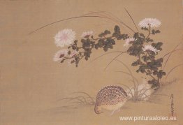 Codornices y Crisantemos Codornices y Crisantemos