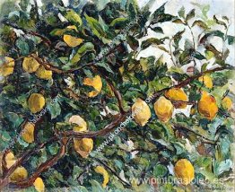 Italia. Limones en las ramas. Italia. Limones en las ramas.
