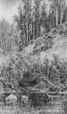 orilla del arroyo orilla del arroyo