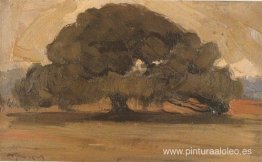 paisaje con pino paisaje con pino