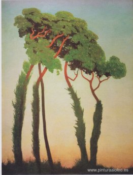 últimos rayos de sol últimos rayos de sol