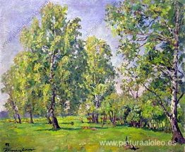 Abedules a principios de primavera Abedules a principios de primavera