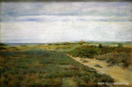 Cerca del mar (también conocido como Shinnecock) Cerca del mar (también conocido como Shinnecock)