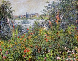 Flores en Vetheuil Flores en Vetheuil