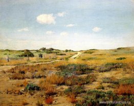 Colinas de Shinnecock Colinas de Shinnecock