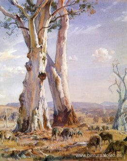 Encías blancas Encías blancas