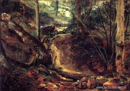 Arroyo de montaña en Auvernia Arroyo de montaña en Auvernia