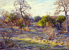 A última hora de la tarde, Alamo Heights, San Antonio, Texas A última hora de la tarde, Alamo Heights, San Antonio, Texas