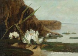 Nenúfares Nenúfares