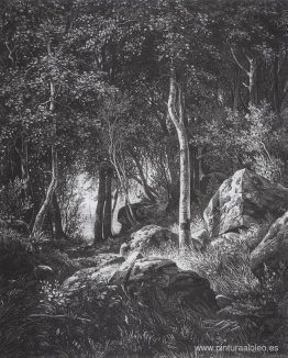 Al borde de un bosque de abedules. Valaam Al borde de un bosque de abedules. Valaam