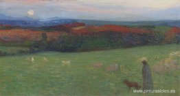 Un campo con figura Un campo con figura