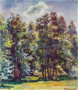 Aliso contra el sol Aliso contra el sol