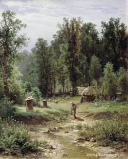 Familias de abejas en el bosque. Familias de abejas en el bosque.