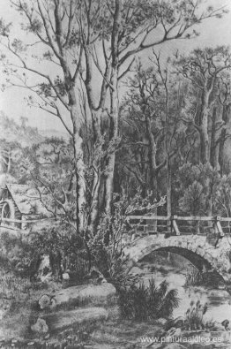 Molino cerca del arroyo del bosque. Molino cerca del arroyo del bosque.