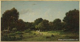 Claro en el bosque alto de Fontainebleau bosque X, dijo el carro Claro en el bosque alto de Fontainebleau bosque X, dijo el carro