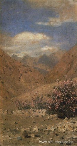 Rosas en Ladakh Rosas en Ladakh