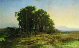 Pinar en el pantano Pinar en el pantano