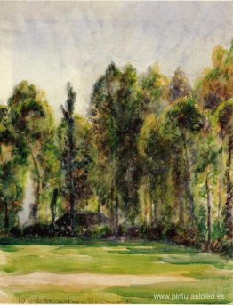 Paisaje Paisaje