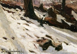 Nieve cerca de la cueva, Central Park, Nueva York Nieve cerca de la cueva, Central Park, Nueva York