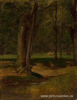 Arroyo de truchas, North Conway Arroyo de truchas, North Conway