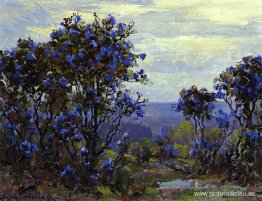 Laurel de montaña en flor Laurel de montaña en flor