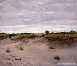 Arenas barridas por el viento, Shinnecock, Long Island Arenas barridas por el viento, Shinnecock, Long Island