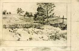 Campos de Branchville Campos de Branchville