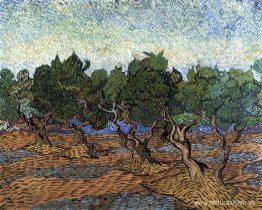 olivar olivar