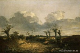 Camino con trasmochos Camino con trasmochos