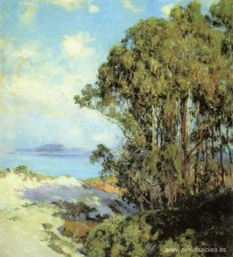 Niebla levantada, Carmelo Niebla levantada, Carmelo