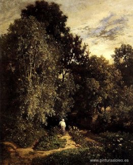 Camino en un pequeño bosque Camino en un pequeño bosque