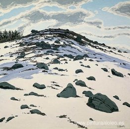 Sombra en Frankfort Barren.jpg Sombra en Frankfort Barren.jpg