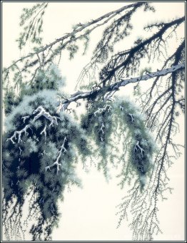 Rama de pino Rama de pino