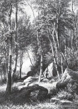 Al borde de un bosque de abedules. Valaam Al borde de un bosque de abedules. Valaam
