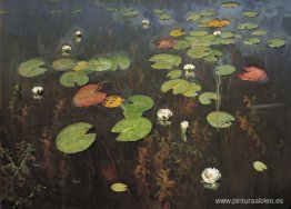 Lirios de agua. Nenúfar. Lirios de agua. Nenúfar.