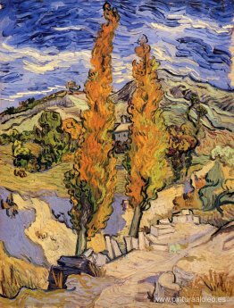 Dos álamos en una colina Dos álamos en una colina