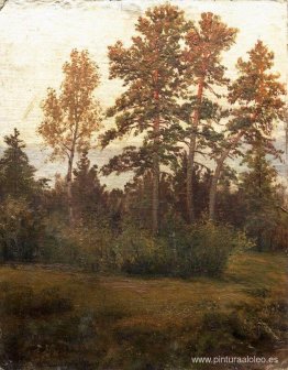 Borde del bosque Borde del bosque