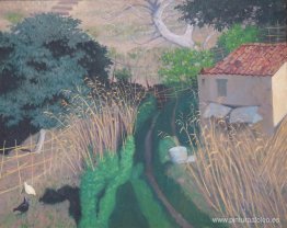 Casas y juncos Casas y juncos