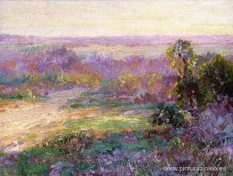 Últimos rayos de sol, comienzo de la primavera en San Antonio Últimos rayos de sol, comienzo de la primavera en San Antonio