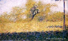 Borde de madera, primavera Borde de madera, primavera