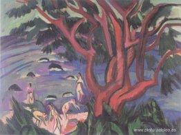 árbol rojo en la playa árbol rojo en la playa