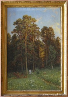 El borde de un bosque de pinos El borde de un bosque de pinos