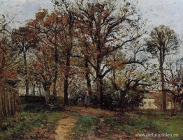 árboles en una colina, otoño, paisaje en Louveciennes árboles en una colina, otoño, paisaje en Louveciennes