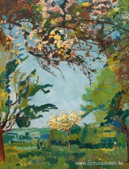 tiempo de floración tiempo de floración