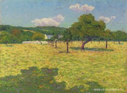 Campo y colinas Campo y colinas