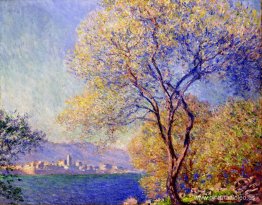 Antibes visto desde los jardines de Salis 01 Antibes visto desde los jardines de Salis 01