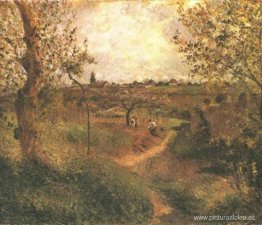 Un camino a través de los campos Un camino a través de los campos