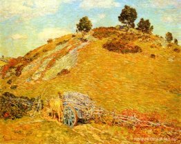 Colina de Bornero, Old Lyme, Connecticut Colina de Bornero, Old Lyme, Connecticut