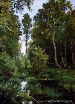 Estanque cubierto de maleza al borde del bosque. Síverskaya Estanque cubierto de maleza al borde del bosque. Síverskaya